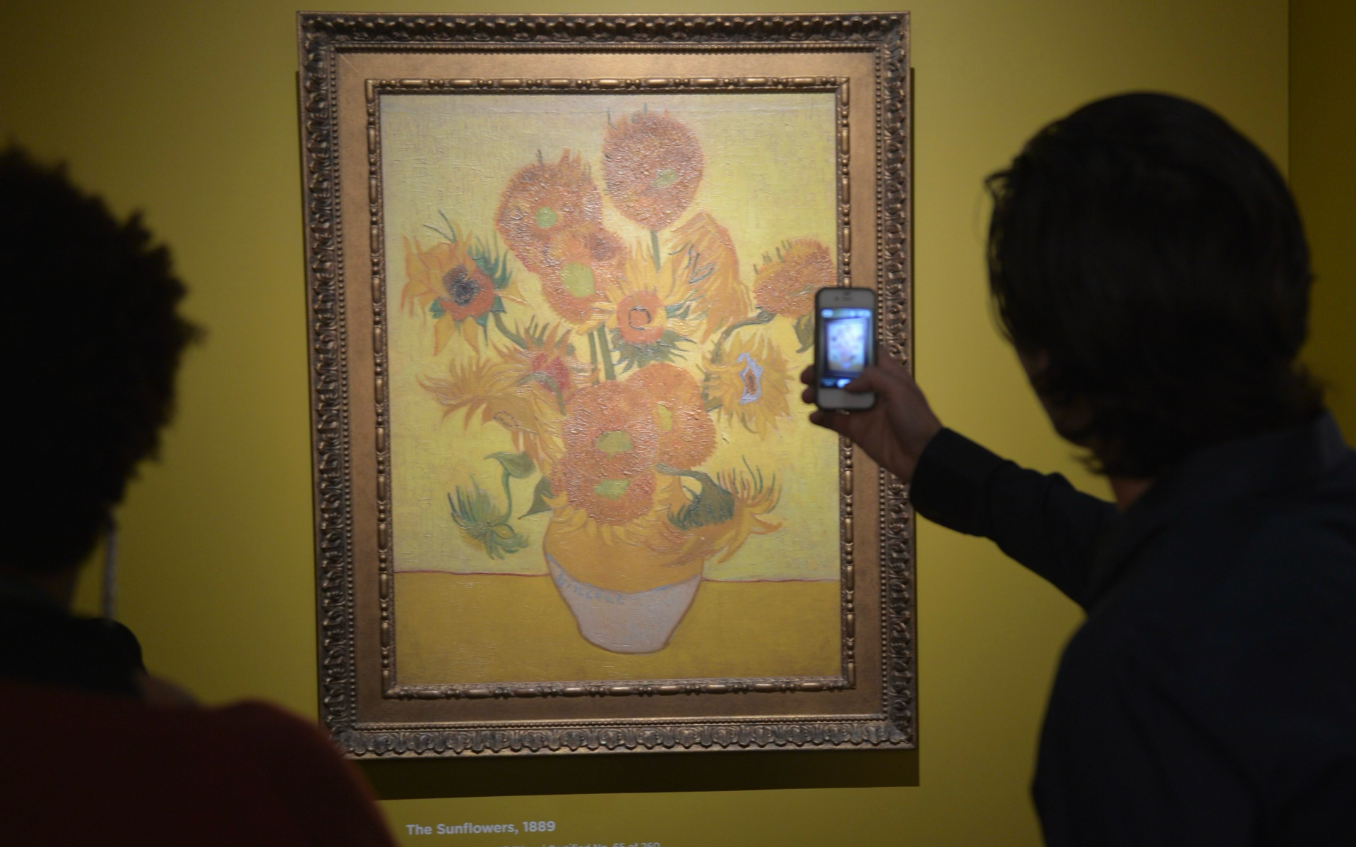 Van Gogh on Tour — visual 3
